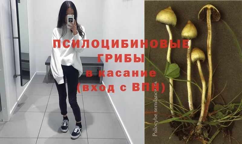 купить наркоту  Астрахань  MEGA как зайти  Галлюциногенные грибы Magic Shrooms 